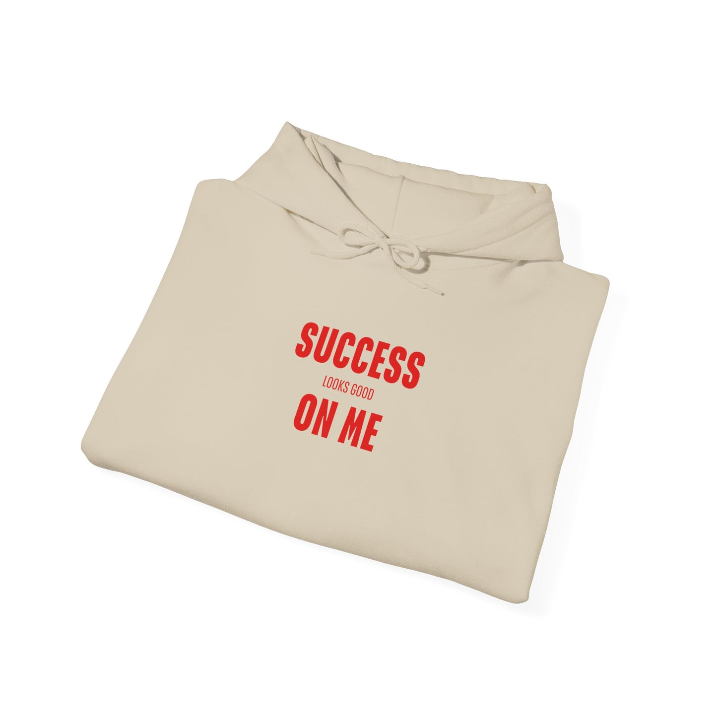 SUCCESS LOOKS GOOD ON ME HOODIE