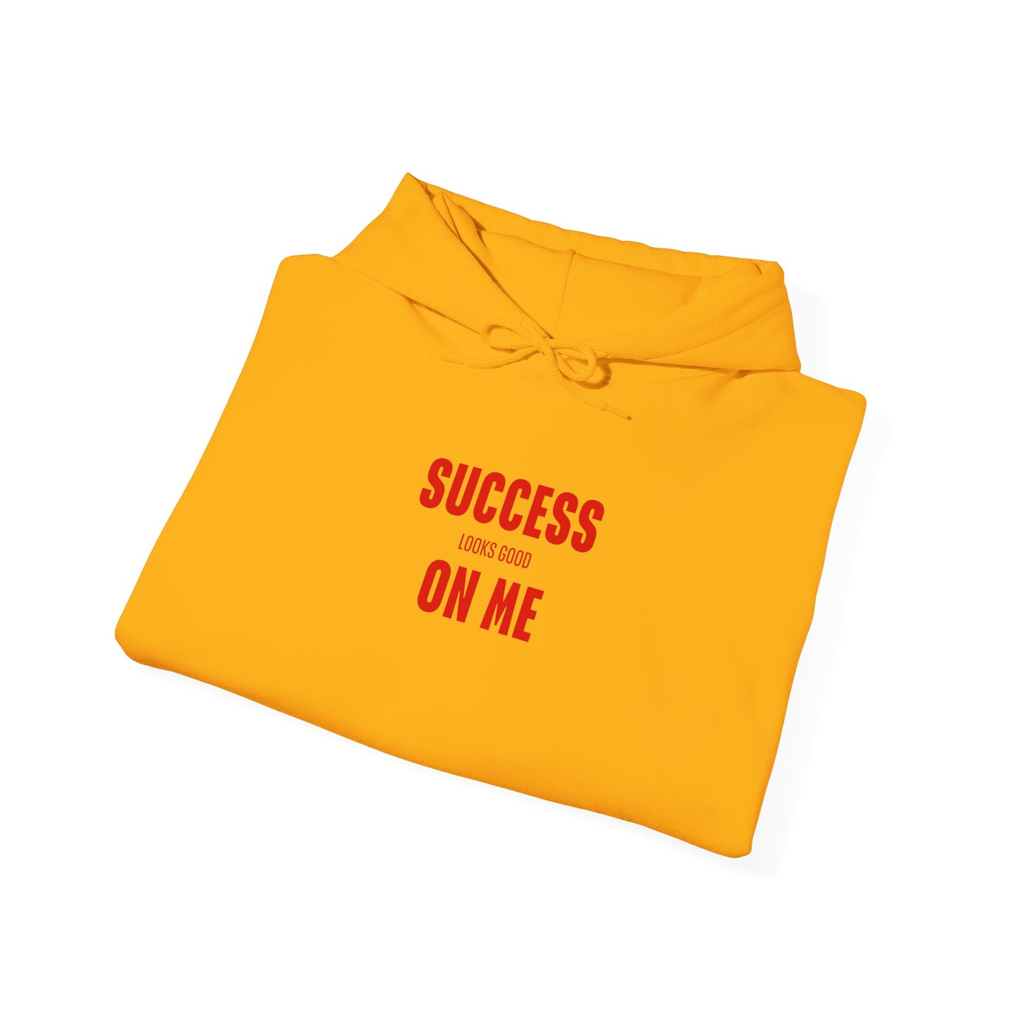 SUCCESS LOOKS GOOD ON ME HOODIE